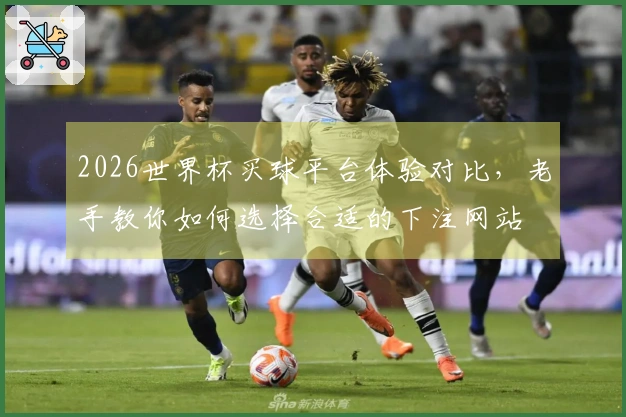 2026世界杯买球平台体验对比，老手教你如何选择合适的下注网站