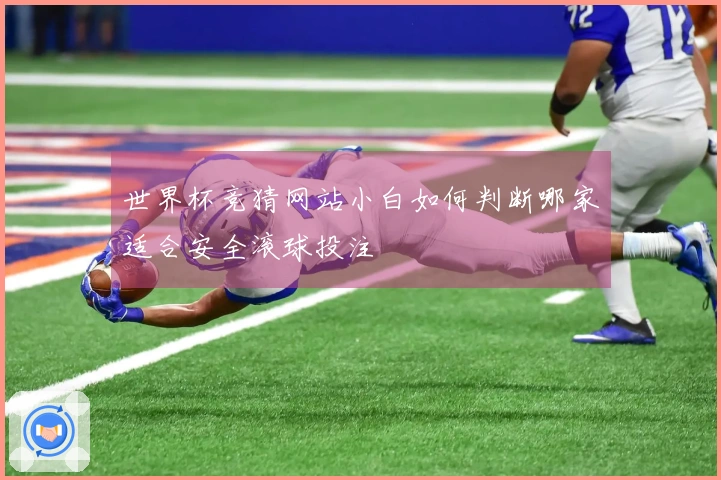世界杯竞猜网站小白如何判断哪家适合安全滚球投注