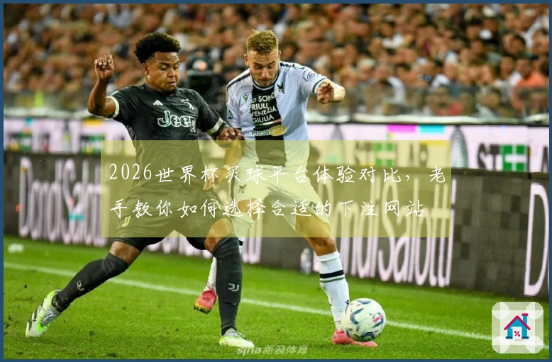 2026世界杯买球平台体验对比，老手教你如何选择合适的下注网站