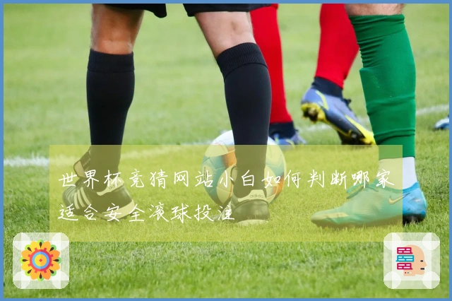 世界杯竞猜网站小白如何判断哪家适合安全滚球投注