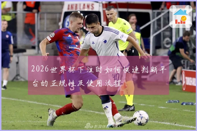 2026世界杯下注时如何快速判断平台的正规性及使用流程