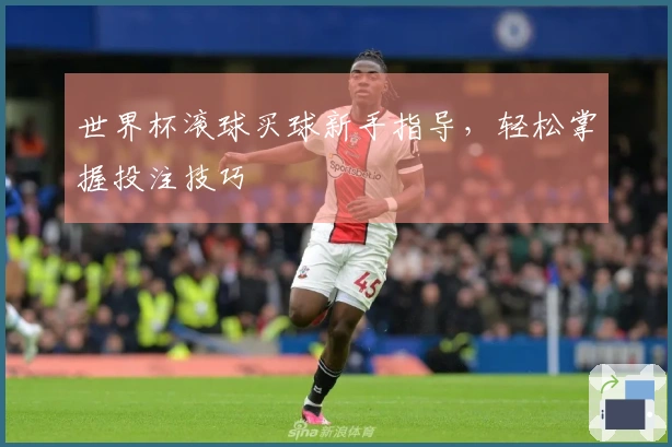 世界杯滚球买球新手指导，轻松掌握投注技巧
